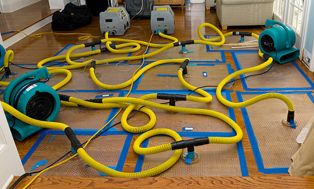 Professional Water Damage Repair technician working in Drybranch, WV